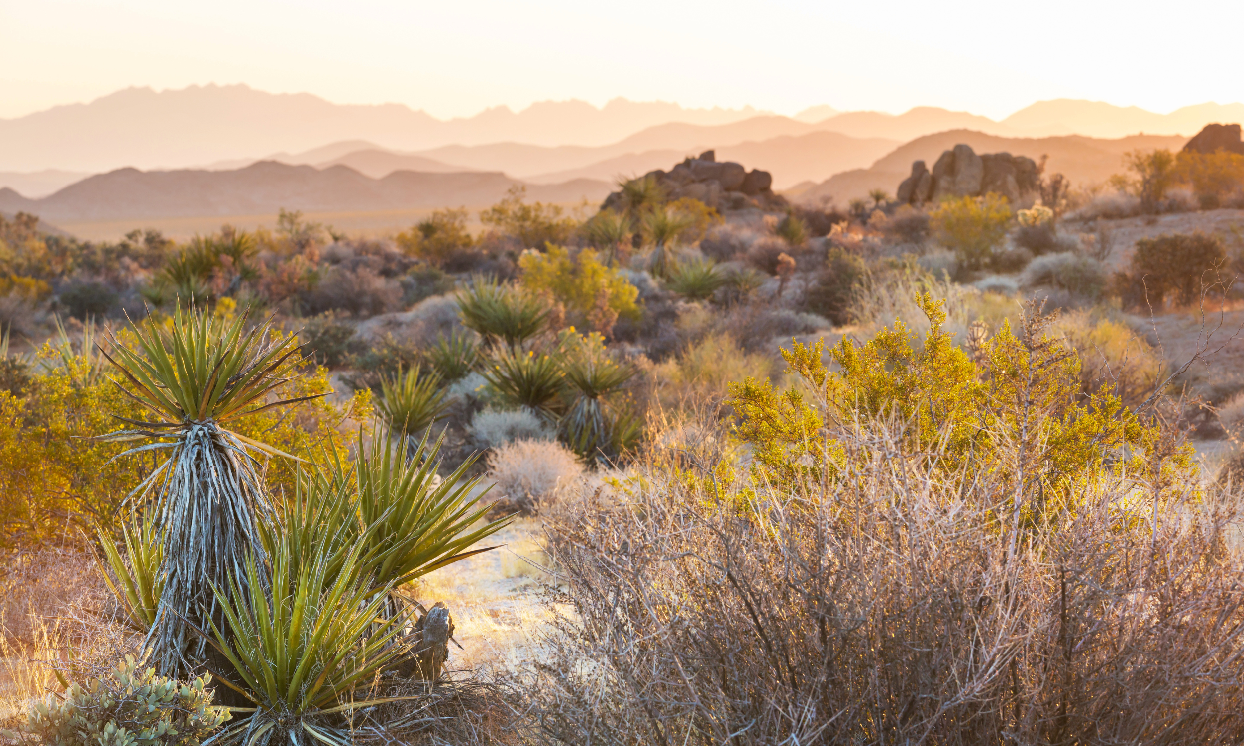 Types Of Personal Injury Cases We Handle in Surprise