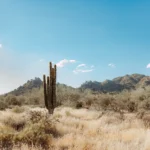 Arizona desert