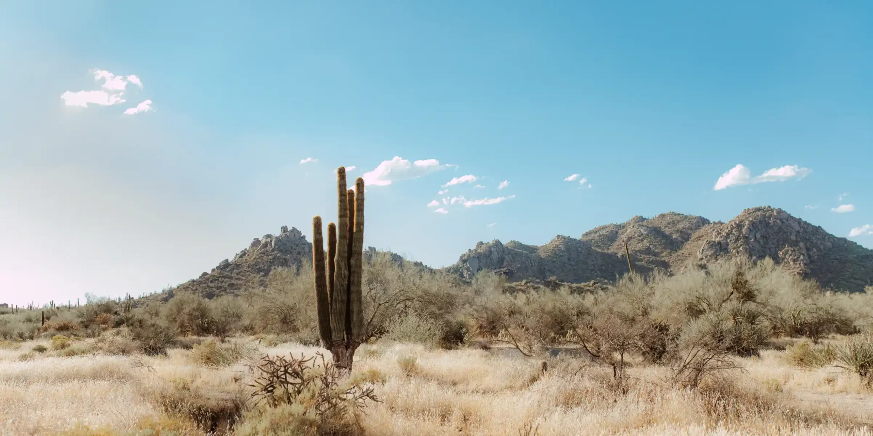 Arizona desert