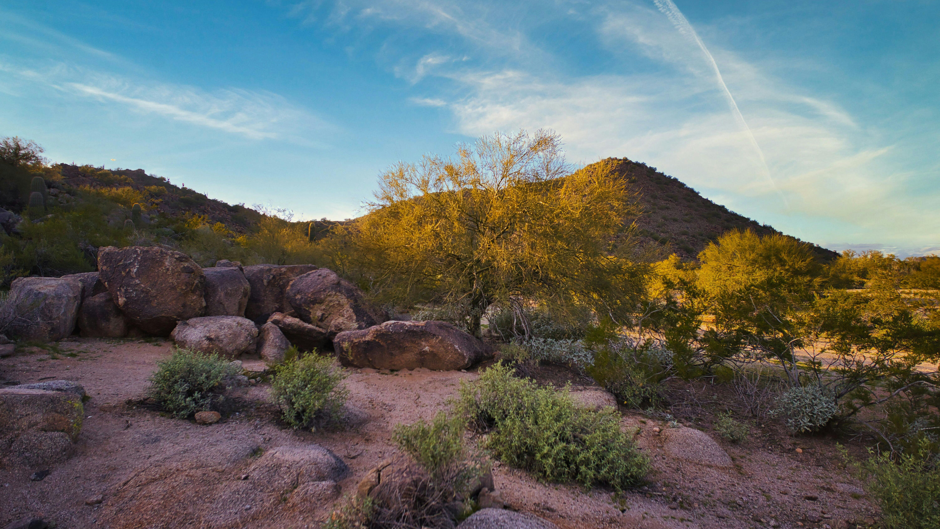 West Phoenix Wrong-Way Freeway Crash Hospitalizes One