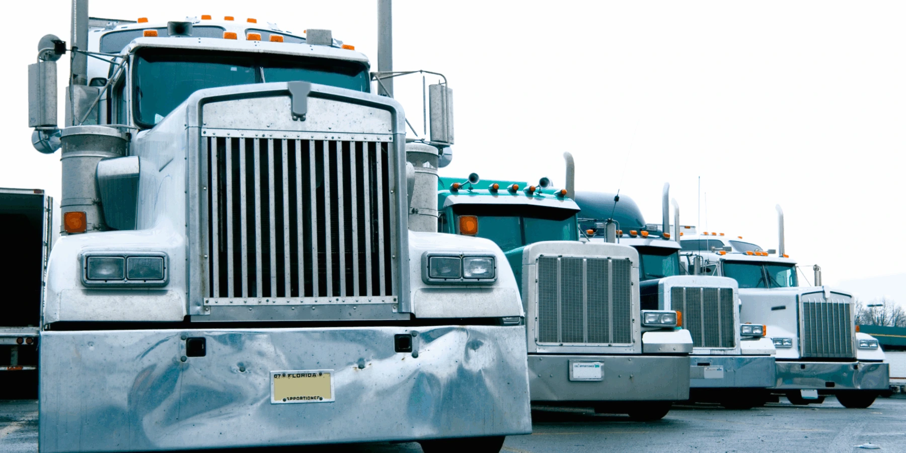 A row of semi-trucks parked together, with a white truck prominent in the foreground.