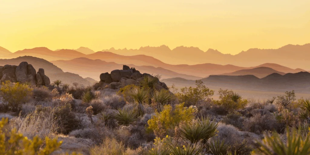 A panoramic desert landscape at sunrise or sunset, featuring layered, hazy mountain ranges in the background under a warm golden and orange sky.