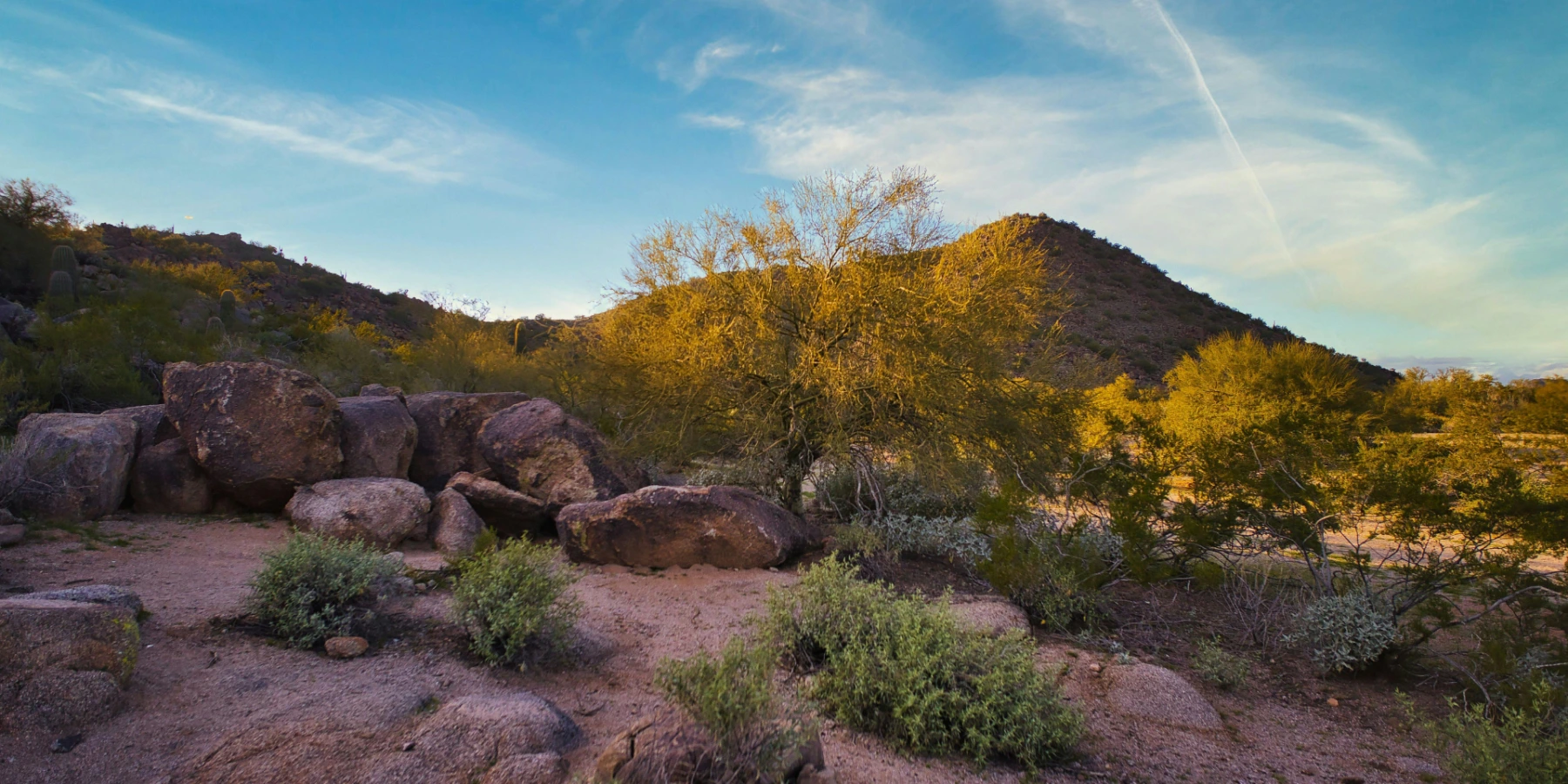 Desert landscape with boulders, shrubs, and sunlit trees under a bright, wispy sky.